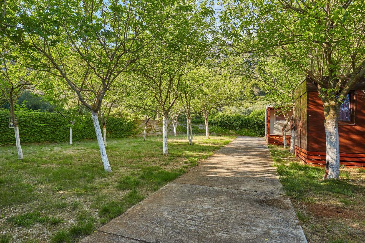Babino Polje Mobile Homes Village "Mungos" Mljet מראה חיצוני תמונה